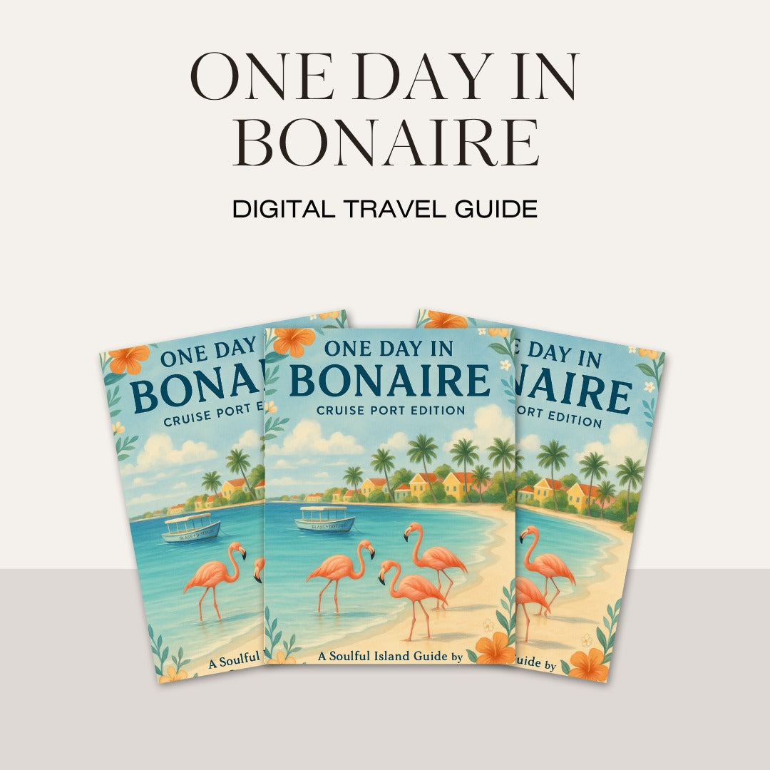 Bonaire Guide + Google Maps